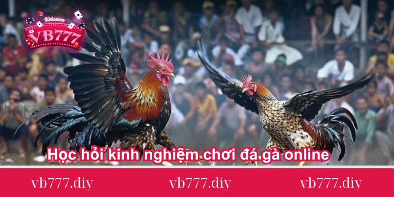 Hoc-hoi-kinh-nghiem-choi-da-ga-online