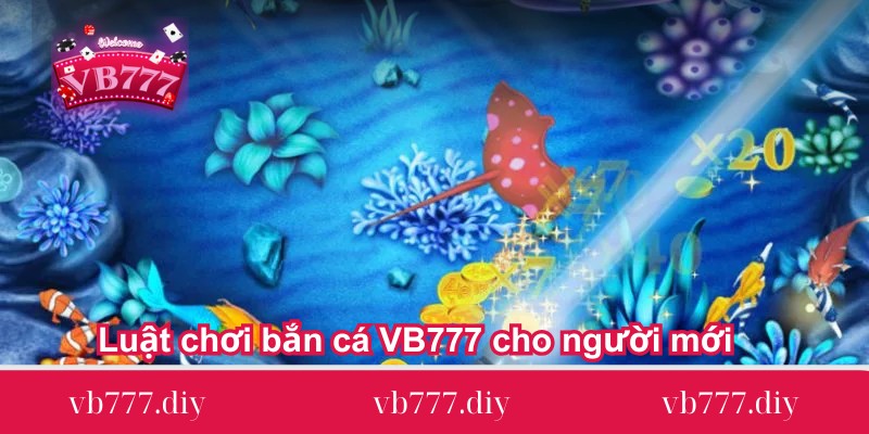 Luat-choi-ban-ca-VB777-cho-nguoi-moi