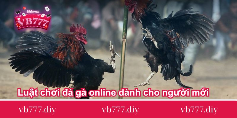 Luat-choi-da-ga-online-danh-cho-nguoi-moi