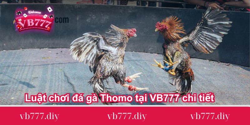 Luat-choi-da-ga-Thomo-tai-VB777-chi-tiet