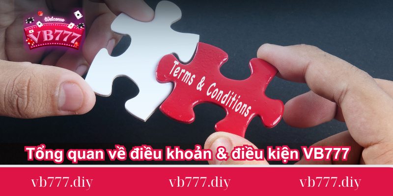 tong-quan-ve-dieu-khoan-dieu-kien-vb777